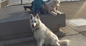Hundeschule mit Kindern am Steg