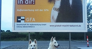 Weck das Plakatier in dir
